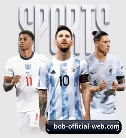 BOB官方网站 APP | BOBSPORTS