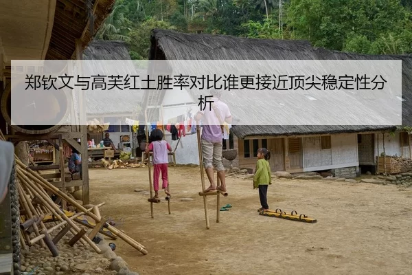 郑钦文与高芙红土胜率对比谁更接近顶尖稳定性分析