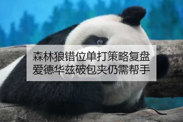 森林狼错位单打策略复盘 爱德华兹破包夹仍需帮手 | BOBSPORTS